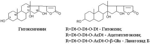 Digitalis-lanata-2