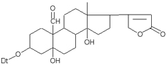 Erysimum