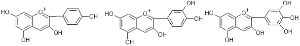 antocianidin-1