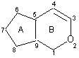 ciklopen