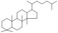 dammaran