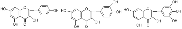 flavonody