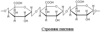 Пектин.jpg