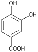 protokateh
