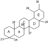 ursan