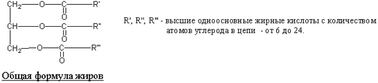 zhir