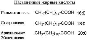 zhir2